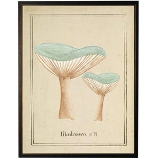 Aqua Mushrooms in Black & Copper Shadowbox 13 X 17 For Sale