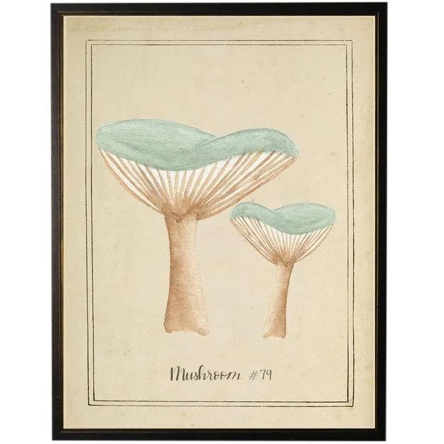 Aqua Mushrooms in Black & Copper Shadowbox 13 X 17 For Sale