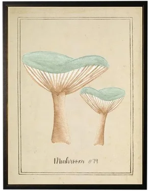 Aqua Mushrooms in Black & Copper Shadowbox 13 X 17