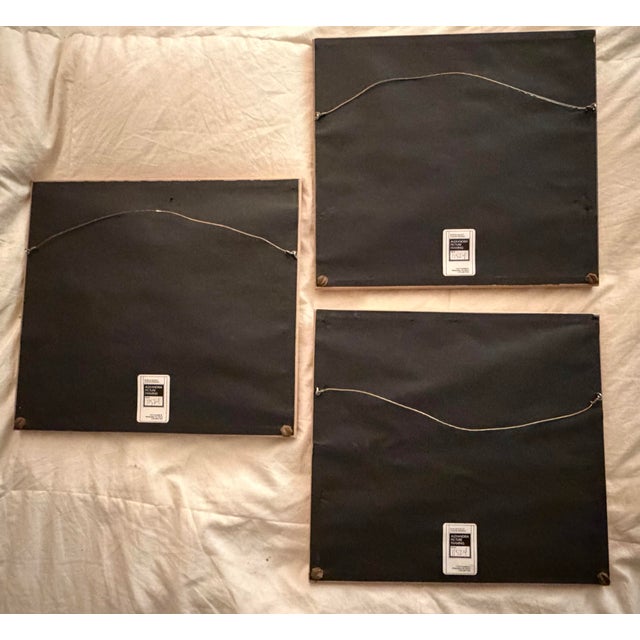 Wood 1990s French Artist Martine Cotten Tropical Signed Prints - Set of 3 For Sale - Image 7 of 10