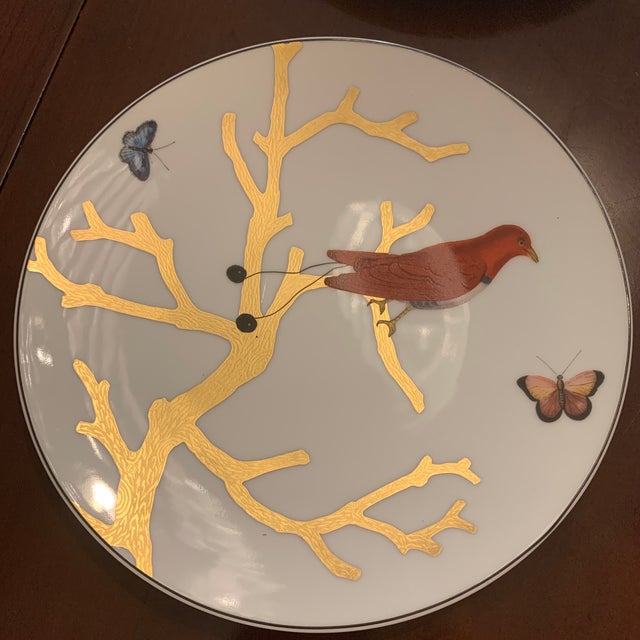 Bernardaud Birds of Paradise Salad Plates - 6pcs with Box For Sale In Tampa - Image 6 of 6
