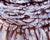 Realism Reflection: Barred Owl by Allison Leigh Smith | Oil on Aluminum Portrait of a Barred Owl For Sale - Image 3 of 5