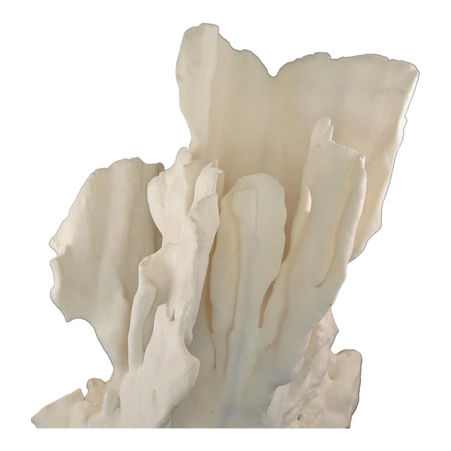 Authentic Natural Coral Speciman For Sale