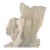 Authentic Natural Coral Speciman For Sale