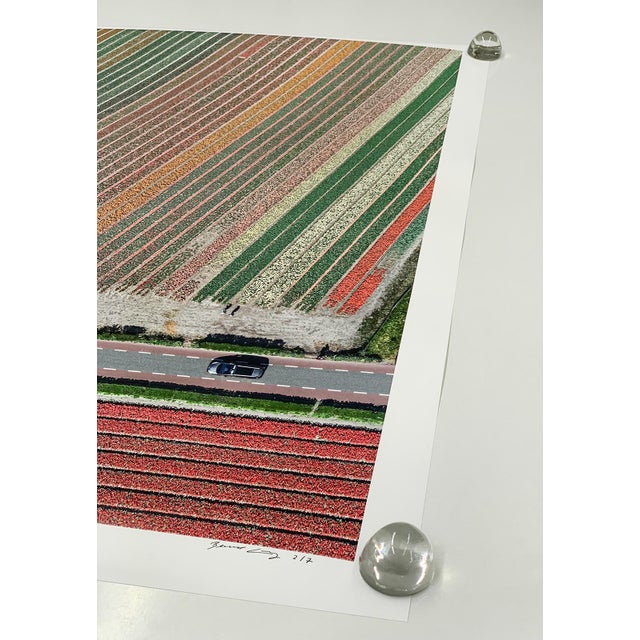 "AV_Tulip_Fields_010" Contemporary Aerial View Limited Edition Photograph by Bernhard Lang For Sale - Image 6 of 9
