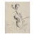 William Meyerowitz Cellist Etching For Sale