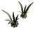 Italian Tole Leaf Candle Holders, a Pair, 1960s For Sale