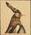 Jean-Paul Donadini, L’oiseau exotique, Lithograph For Sale - Image 4 of 8