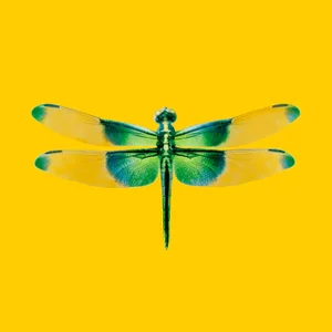 DWM | MALOOS Modern Dragonfly Yellow and Green Custom Print Wallpaper