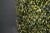 Italian Bosso Outdoor Artificial Vertical Garden Osb Panel from VGnewtrend For Sale - Image 3 of 5