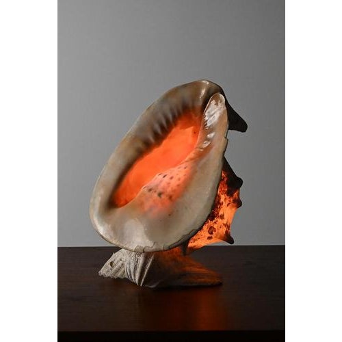 Vintage Shell Lamp For Sale - Image 10 of 10