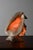 Vintage Shell Lamp For Sale - Image 10 of 10