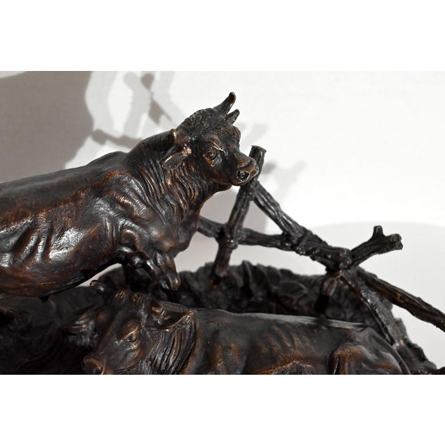 Jules Moigniez, Cows, Early 20th Century, Bronze For Sale - Image 6 of 18