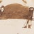 Espiga Pinto, Animalistic Composition, 1960s, Watercolor For Sale - Image 4 of 6