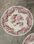 English Chinoiserie Style Red & White Dinner Plates "Cambridge" by Wood & Sons - Set of 6 For Sale - Image 13 of 18