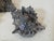 Silver-Plated Shells by Federico Buccellati, Italy, 1940s, Set of 4 For Sale - Image 10 of 13