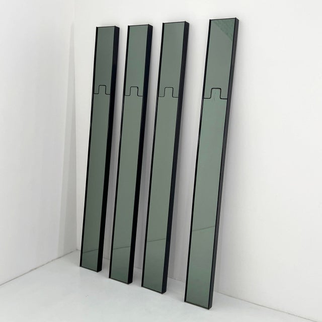 Gronda Mirrors and Coat Racks by Luciano Bertoncini for Elco, 1970s, Set of 4 For Sale - Image 6 of 9