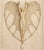 Not Yet Made - Made To Order Large Art Nouveau Jewelry Study "Alabaster Oracle" – 40" X 60" Fine Art Print on Brushed Metal For Sale - Image 5 of 14