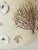 1970s 1970s Pair Coastal Sea Shell Linen Lamp Shades For Sale - Image 5 of 5