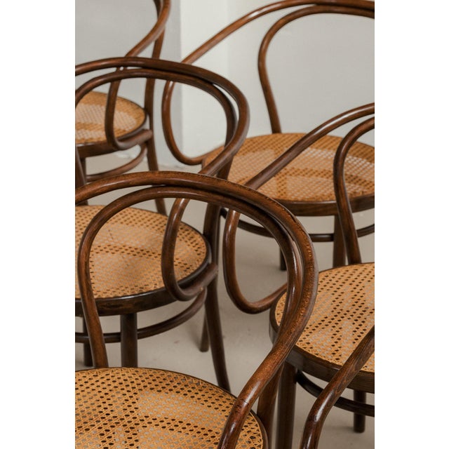 1960s Model 209 Dining Chairs from Thonet, 1960s, Set of 6 For Sale - Image 5 of 13