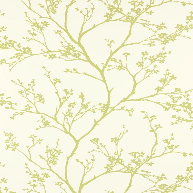 Contemporary Schumacher Twiggy Wallpaper in Soft Chartreuse For Sale - Image 3 of 3