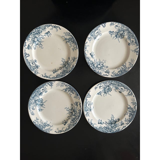 Terre De Fer Dinner Plates from Louis Graves, 1890s, Set of 13 For Sale - Image 4 of 13