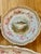 Antique O & E Gutherz Royal Austria Hand Painted Fish Dinnerware Circa 1899-1918 - A Set of 10 Pieces For Sale In New Orleans - Image 6 of 18