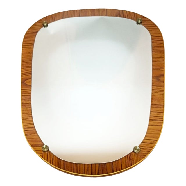 Vintage Organic Wall Mirror with Wood-Veneered Panel, 1960s For Sale