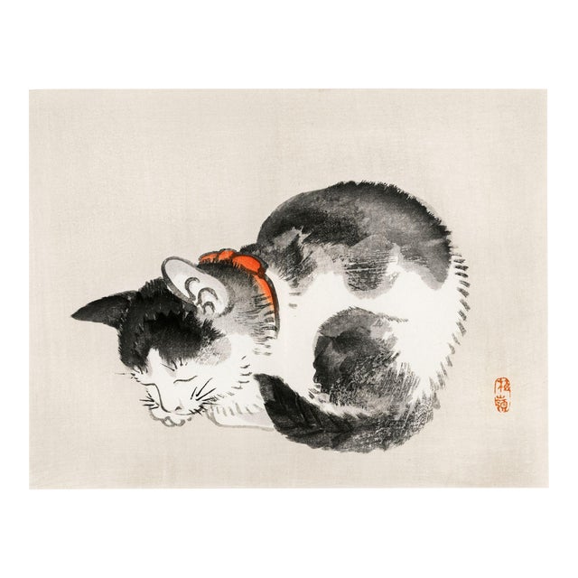 Sleeping Cat by Kōno Bairei, Japanese Art Print Reproduction, 20" × 16" For Sale