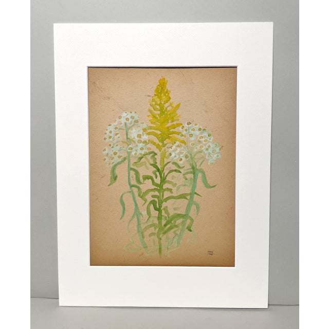 1920s A 1928 Botanical Watercolor Featuring a Study of Goldenrod and Daisies by Artist Harold Haydon For Sale - Image 5 of 5