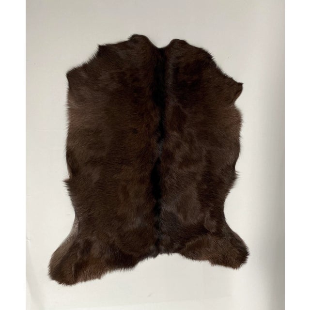 Rich chocolate brown natural hair-on goat hide. Suitable for use as an accent rug or upholstery. Dimensions: 34.5" x 27".