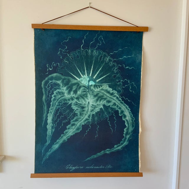 Blue Original Vintage Natural Curiosities Sealife Print, Electric Blue and Green For Sale - Image 8 of 8