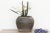 Featuring a beautifully weathered gray finish, this large vintage pottery vase stands out with its rounded silhouette and...