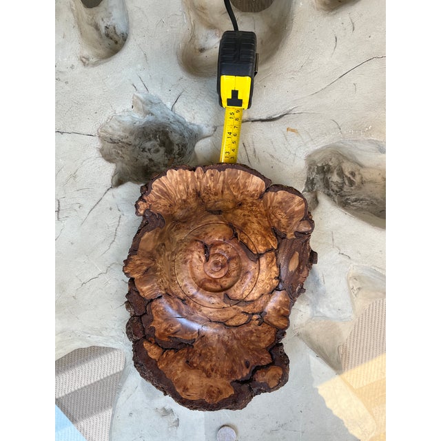 Organic Modern Hand-Turned Natural Edge Sugar Maple Burl Centerpiece Bowl - 12.5x9.5 Inches For Sale - Image 12 of 12