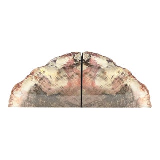 Pair of Petrified Wood Bookends – Large Bookmatched Fossil Wood Slabs – Organic Modern / MCM Shelf Decor For Sale