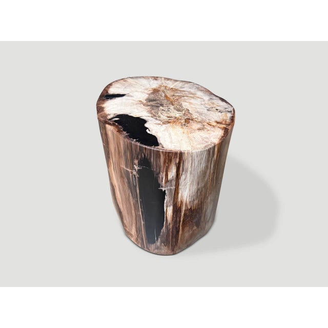 Andrianna Shamaris Ancient High Quality Petrified Wood Side Table For Sale - Image 4 of 4