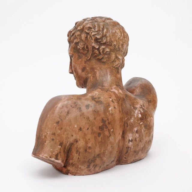 Terracotta Vintage French Hermes Bust For Sale In Austin - Image 6 of 9
