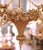 Mid-Century French Louis XVI Giltwood Six-Light Basket Floral Chandelier For Sale - Image 10 of 10