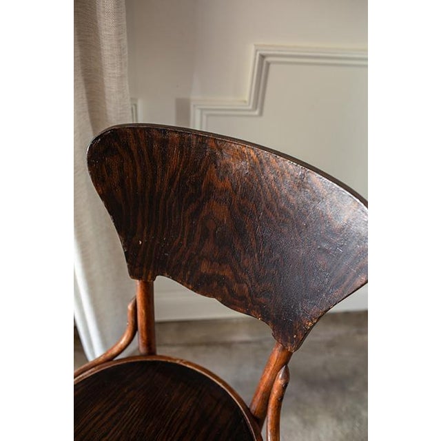 Antique Bentwood Cafe Chairs in the Style of Micheal Thonet , Set of 6 For Sale - Image 14 of 16