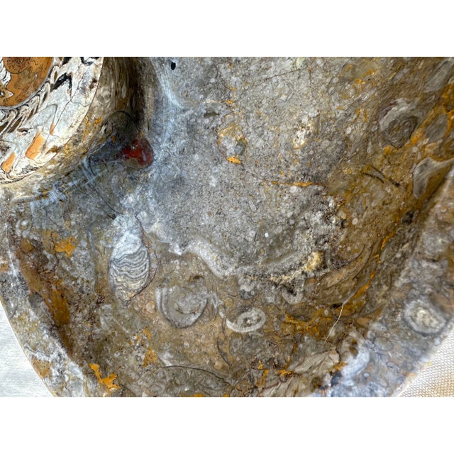 Vintage Ammonite Fossil Shell Catchall Dish For Sale - Image 4 of 6