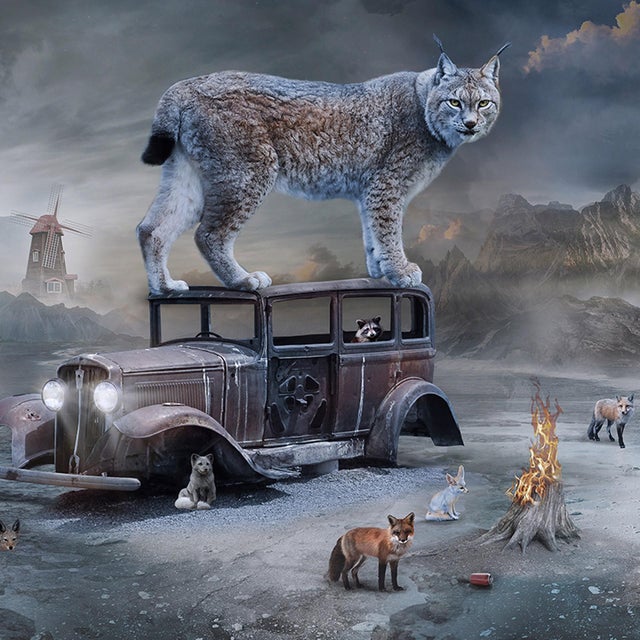 Surrealism Twilight by Marcin Owczarek | Photography - Dye Sublimation on Aluminum surreal landscape with animals For Sale - Image 3 of 5