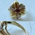 Metal Vintage Mid-Century 18k Yellow Gold Garnet and Diamond Flower Cluster Ring, Size 7 For Sale - Image 7 of 12