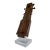 Vintage Decorative Sarangi Mounted on Lucite Base For Sale