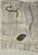 Eugenia Perpetua Butler 1947 Washington, D.C. – 2008 Santa Rosa “Drawing”, 1991 Colored pencils and graphite on cardboard,...