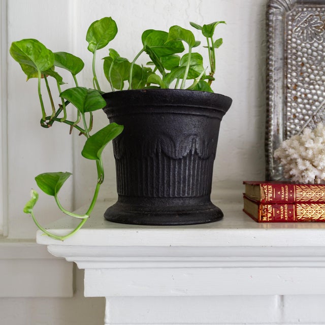 19th Century Black Cast Iron Mortar Jardiniere or Plant Holder For Sale - Image 4 of 11
