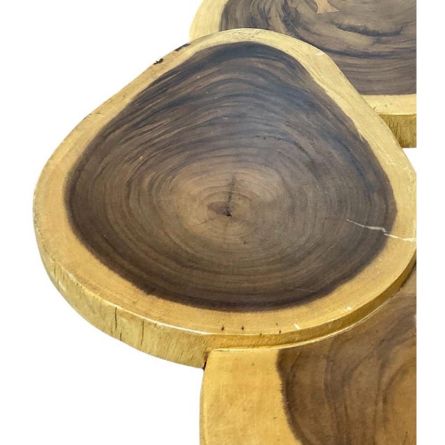 Brown Organic Live Edge Walnut Slab Coffee Table – Multi-Section Wood W/ Butterfly Inlays For Sale - Image 8 of 9