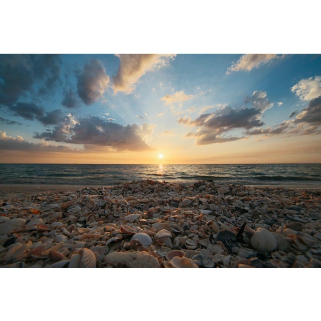 Beautiful, sophisticated, and elegant handmade seashell mirror. Dimensions 13.5" x 19". Neutral color scheme in white,...
