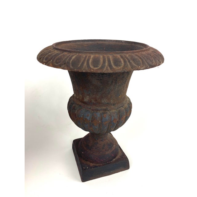 Pair of Antique Cast Iron Garden Urns Chairish