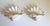 Serge Roche Style Clam Shell Wall Pockets - A Pair For Sale - Image 10 of 13