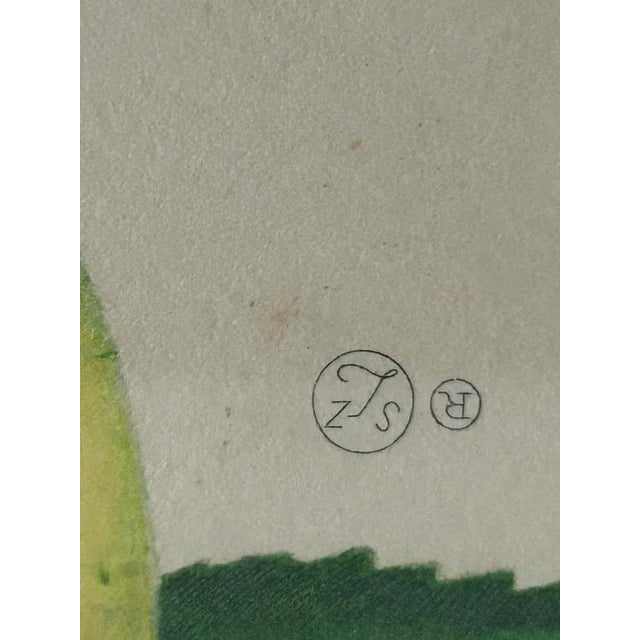 Zoltan Lucas, Fruits, 1910s, Lithographs, Set of 2 For Sale - Image 8 of 12